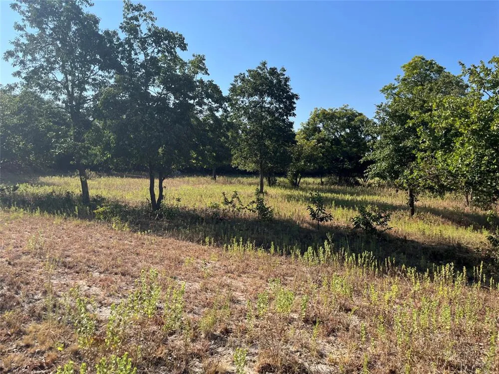 207 County Road 125 Comanche, TX 76442