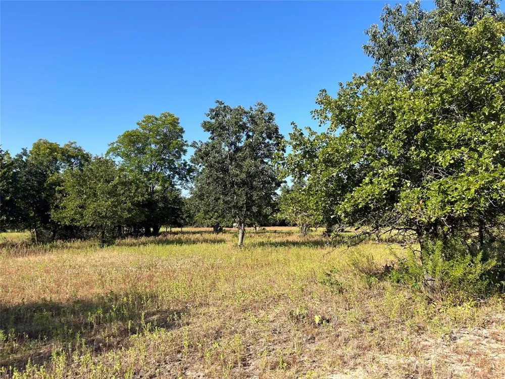 207 County Road 125 Comanche, TX 76442