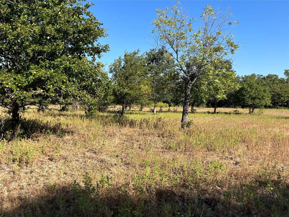 207 County Road 125 Comanche, TX 76442