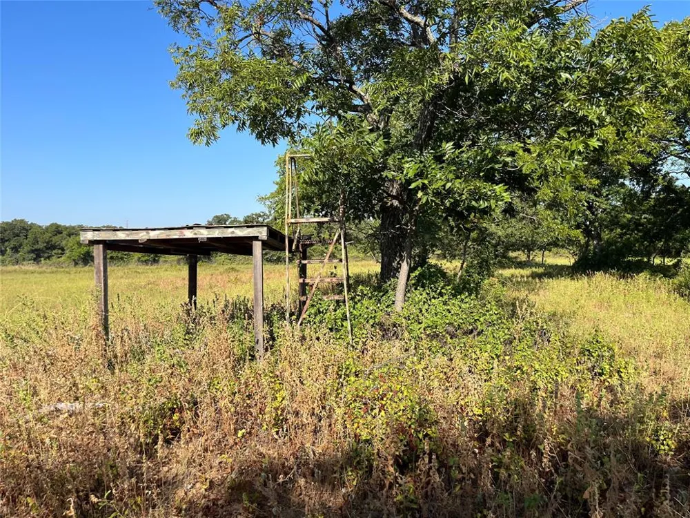 207 County Road 125 Comanche, TX 76442