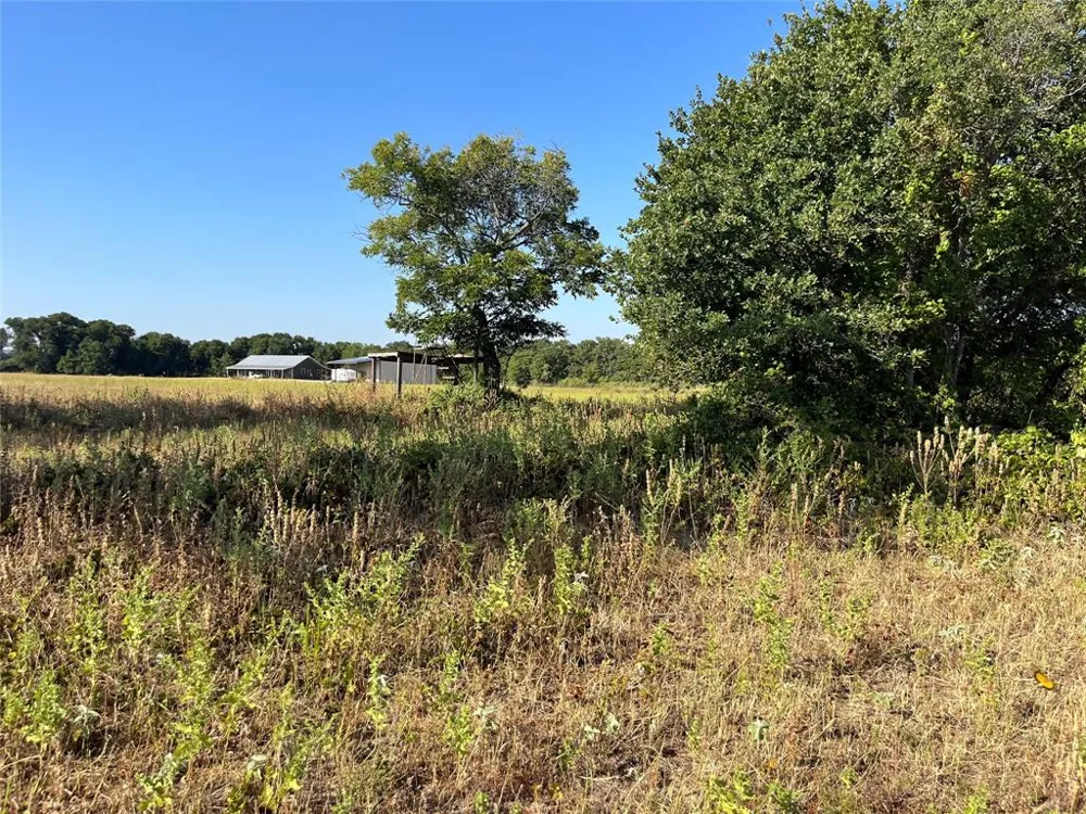 207 County Road 125 Comanche, TX 76442