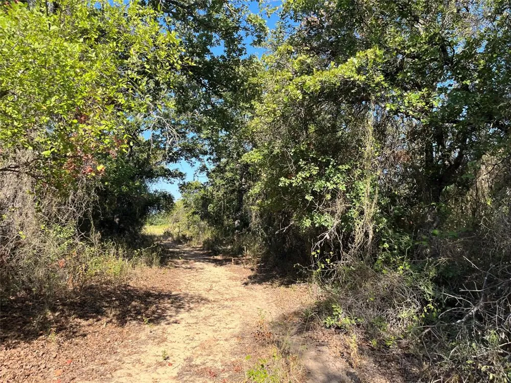 207 County Road 125 Comanche, TX 76442