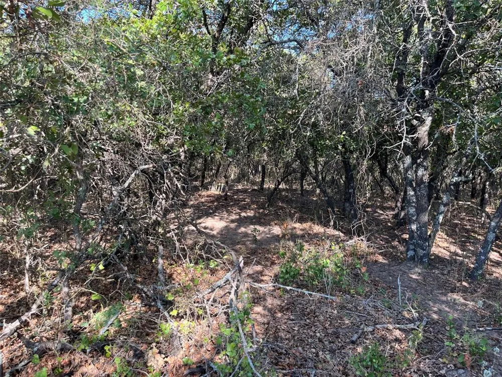 207 County Road 125 Comanche, TX 76442