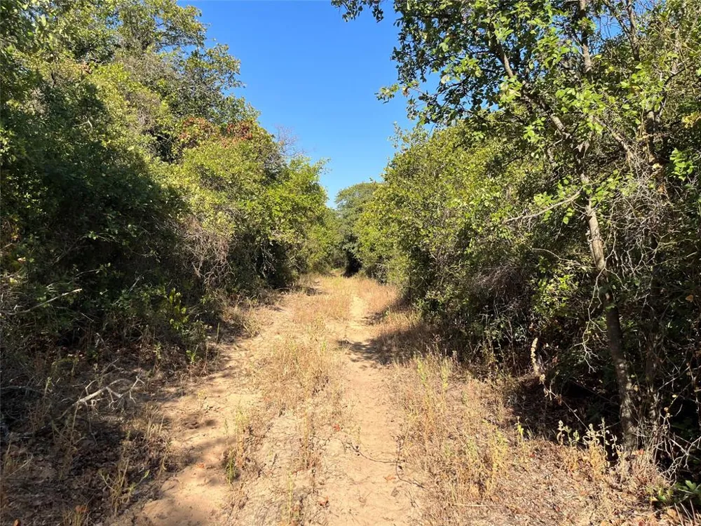 207 County Road 125 Comanche, TX 76442