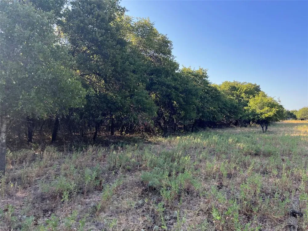 207 County Road 125 Comanche, TX 76442