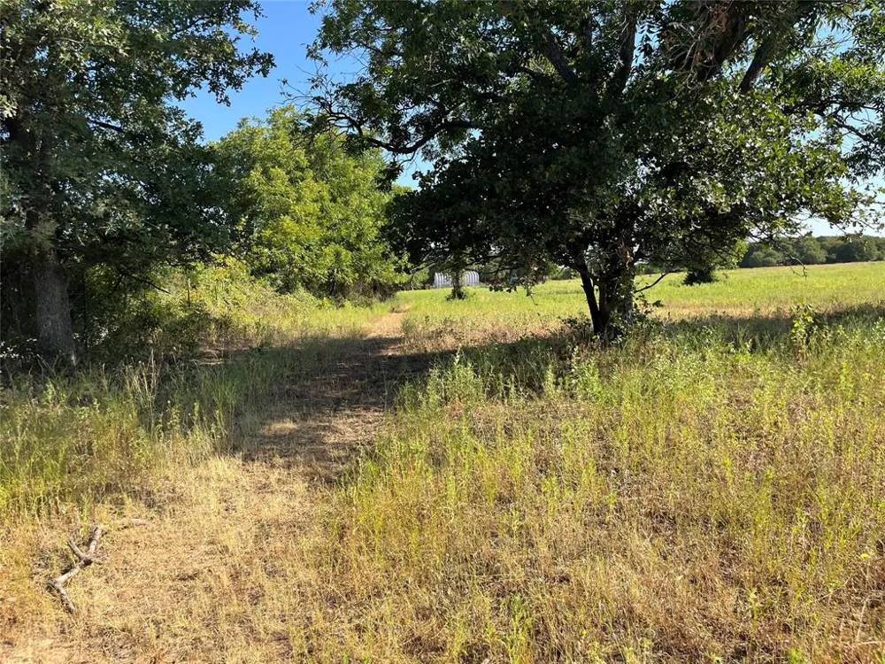 207 County Road 125 Comanche, TX 76442