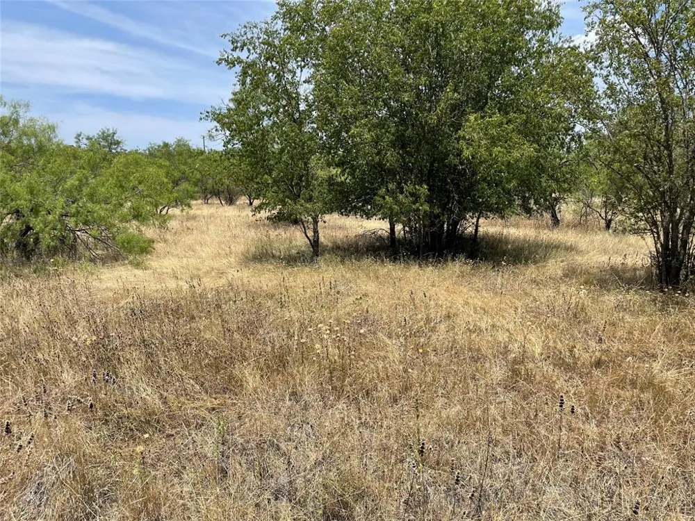 CR 316 ROAD Breckenridge, TX 76424