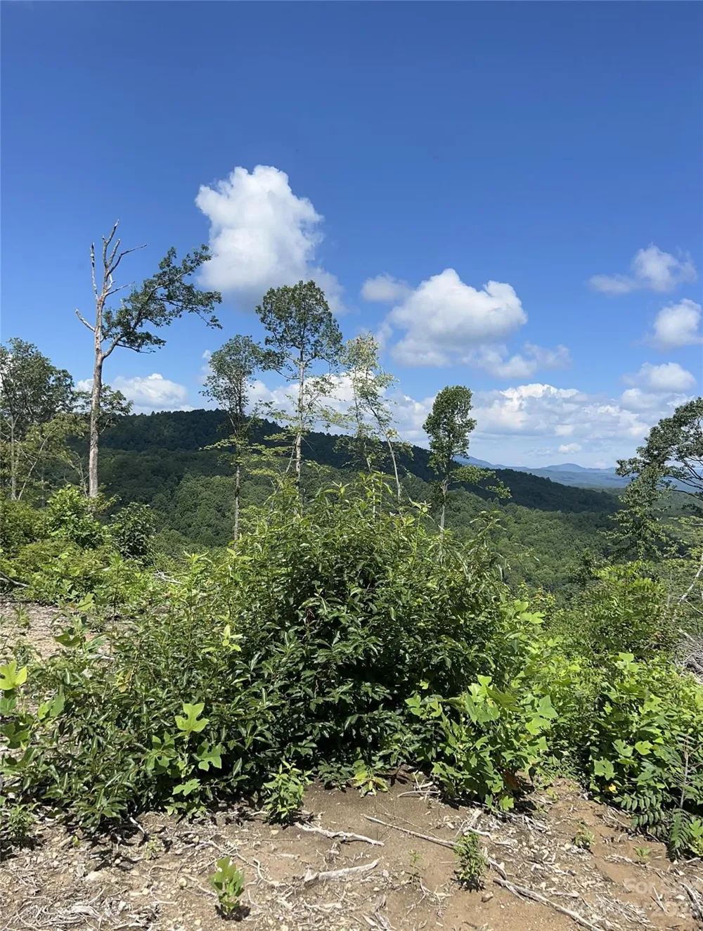 TBD Nancy Mountain Road Rosman, NC 28772