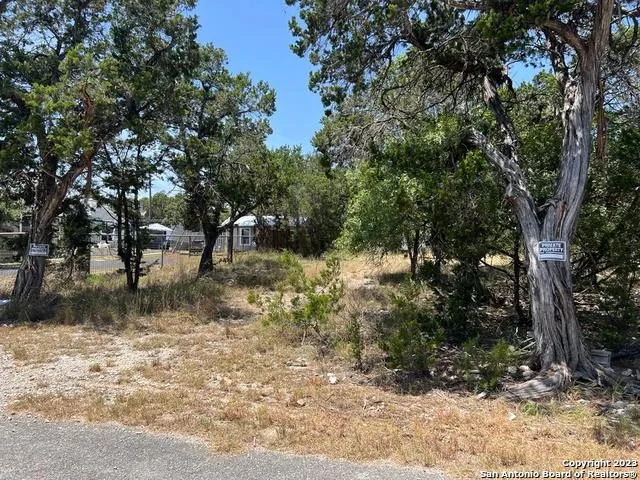 619 CACTUS FLOWER Canyon Lake, TX 78133