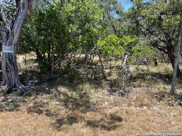 619 CACTUS FLOWER Canyon Lake, TX 78133