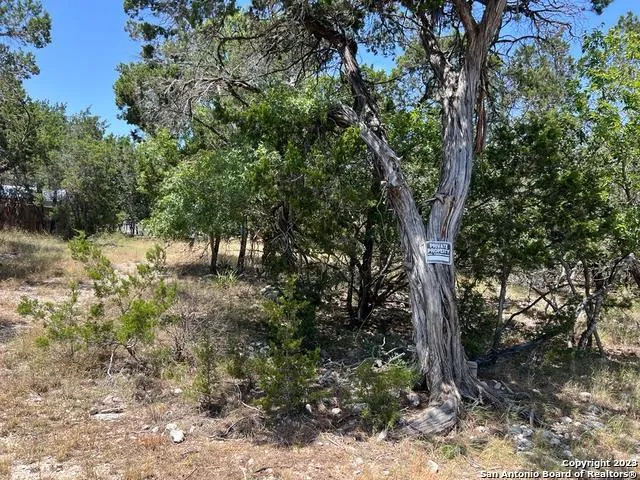 619 CACTUS FLOWER Canyon Lake, TX 78133