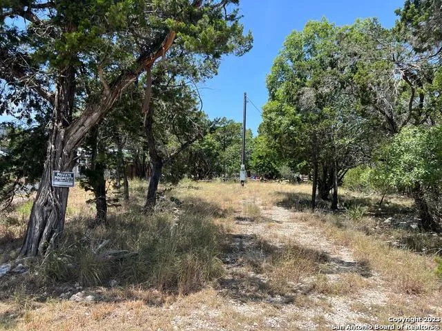 619 CACTUS FLOWER Canyon Lake, TX 78133