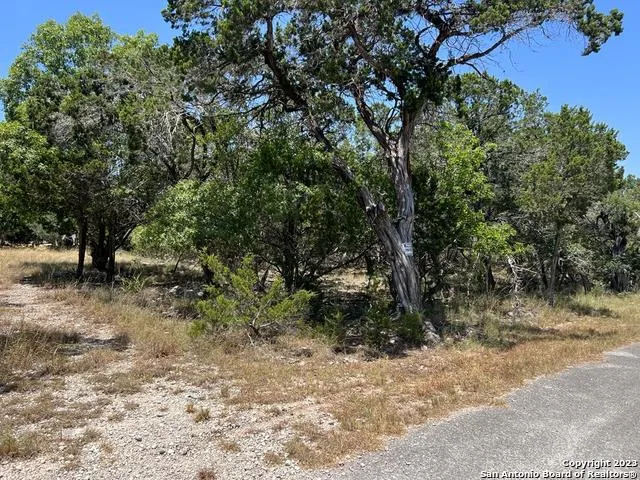 619 CACTUS FLOWER Canyon Lake, TX 78133