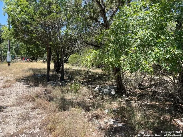619 CACTUS FLOWER Canyon Lake, TX 78133