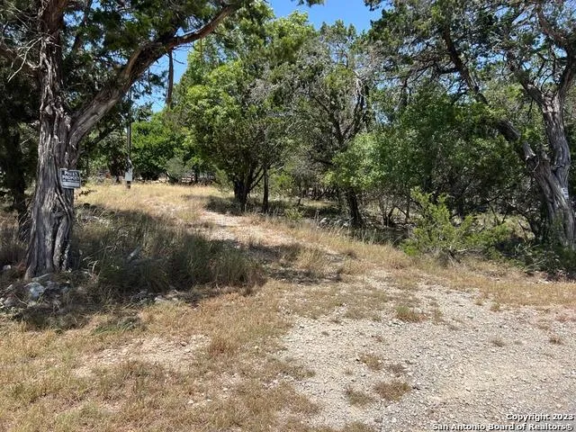 619 CACTUS FLOWER Canyon Lake, TX 78133