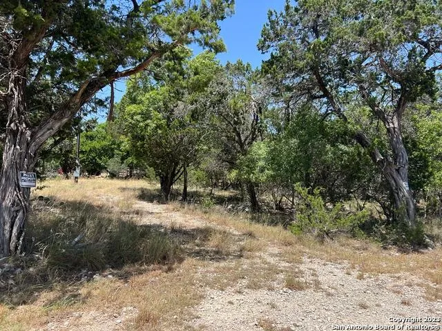 619 CACTUS FLOWER Canyon Lake, TX 78133