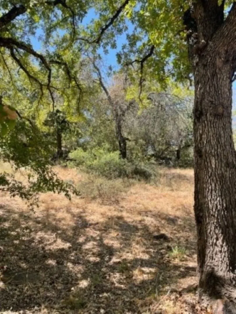 Lot W28019 Mountain Leather