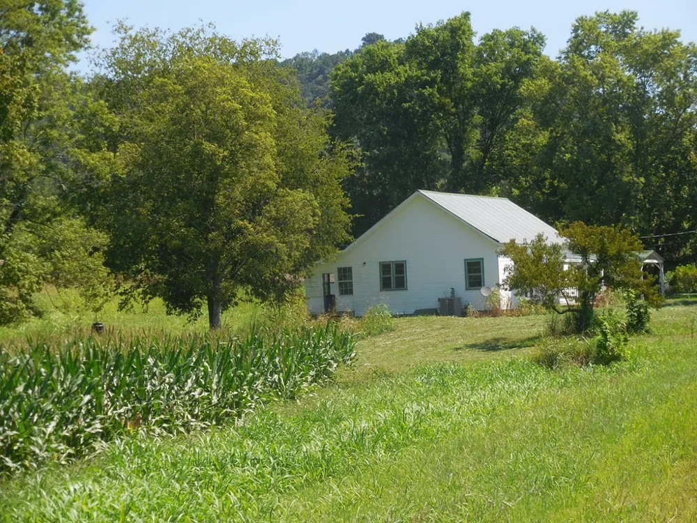 12493 Dodson Branch Gainesboro, TN 38562