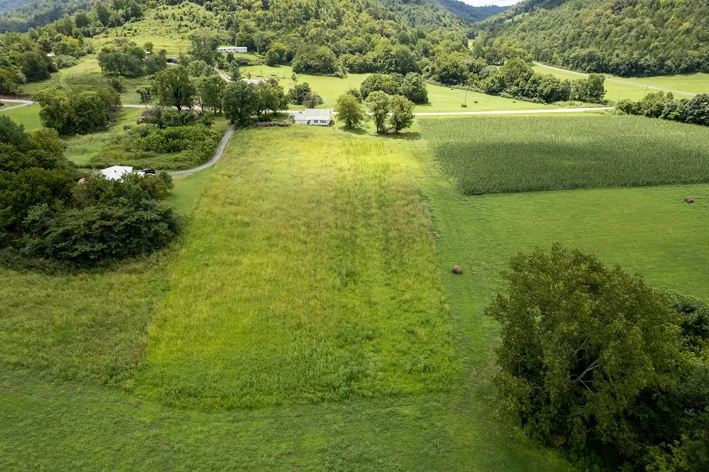 12493 Dodson Branch Gainesboro, TN 38562
