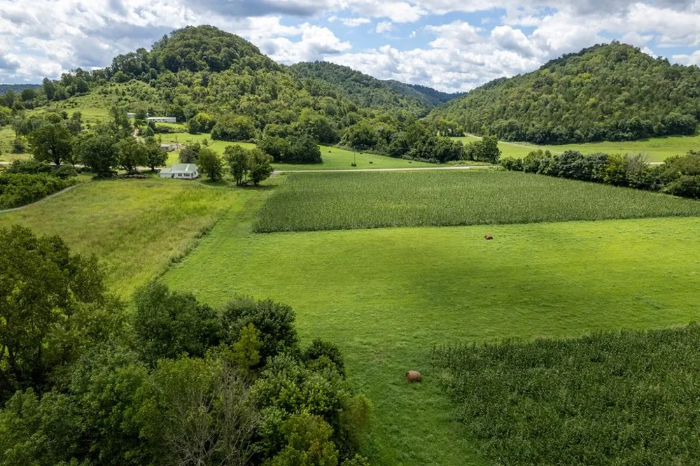 12493 Dodson Branch Gainesboro, TN 38562