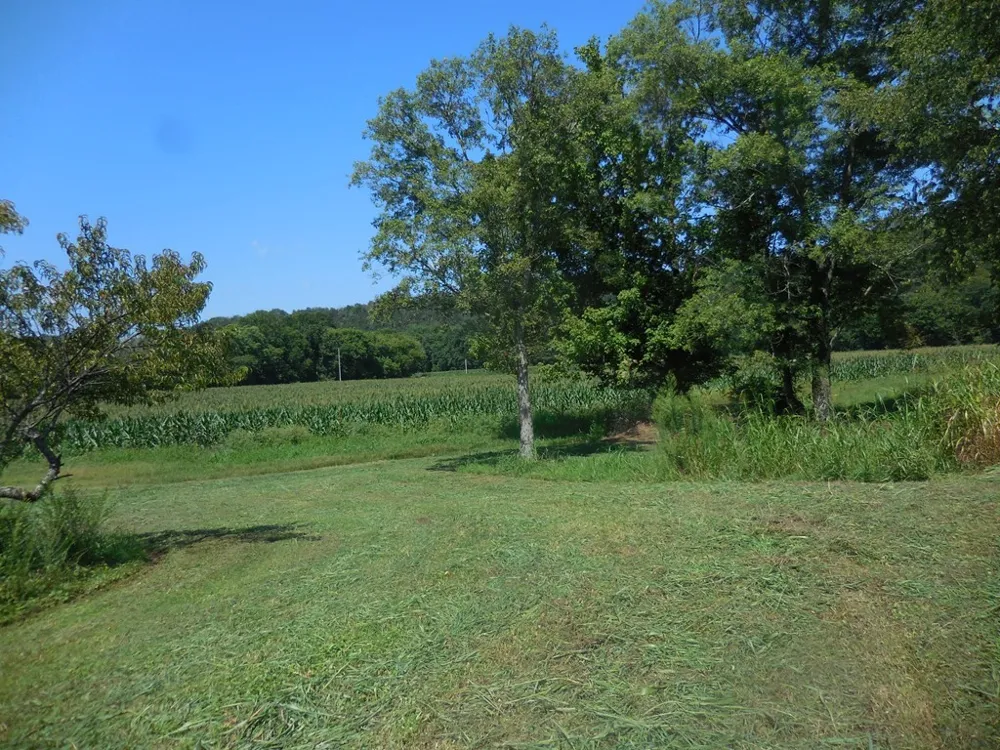 12493 Dodson Branch Gainesboro, TN 38562