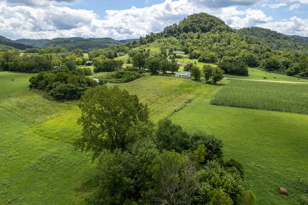 12493 Dodson Branch Gainesboro, TN 38562