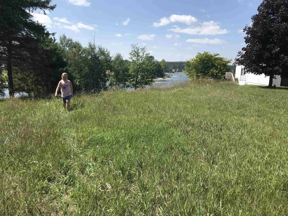 Peterson Drive Clam Lake Township, MI 49601