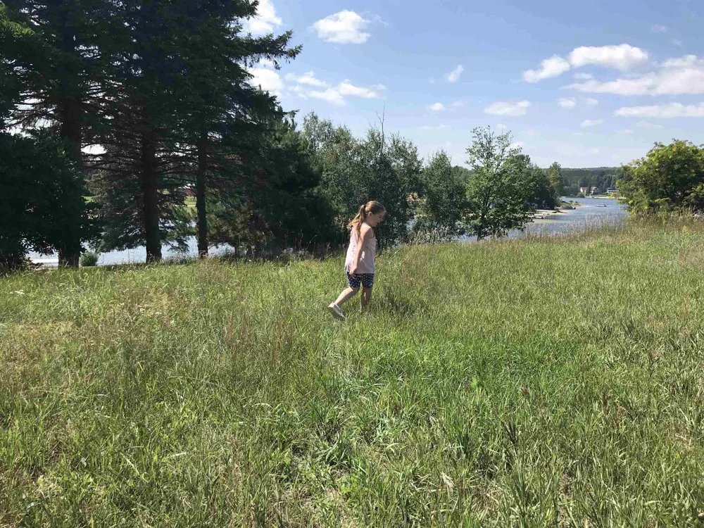 Peterson Drive Clam Lake Township, MI 49601