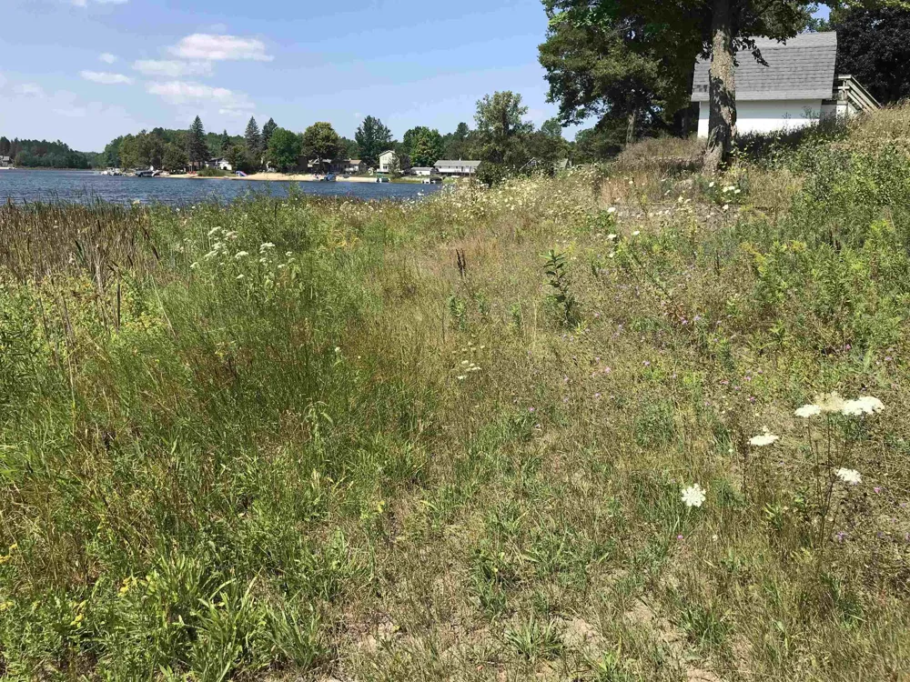 Peterson Drive Clam Lake Township, MI 49601