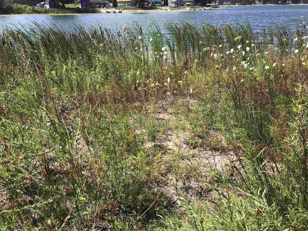 Peterson Drive Clam Lake Township, MI 49601