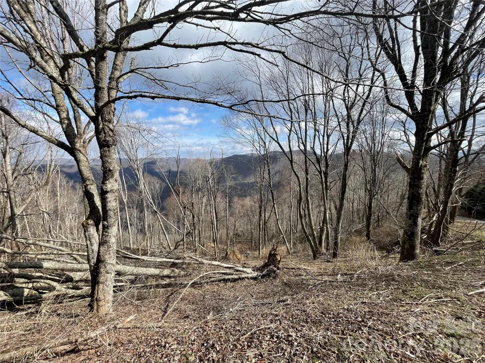 Lot #39 Ridge Top Circle Clyde, NC 28721