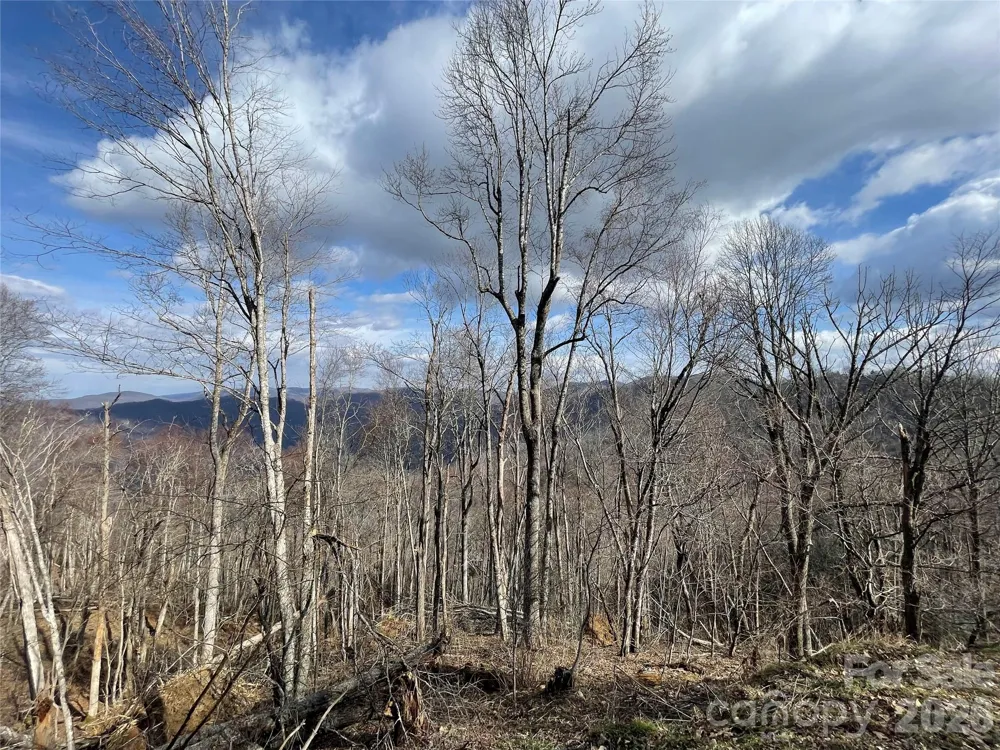 Lot #39 Ridge Top Circle Clyde, NC 28721