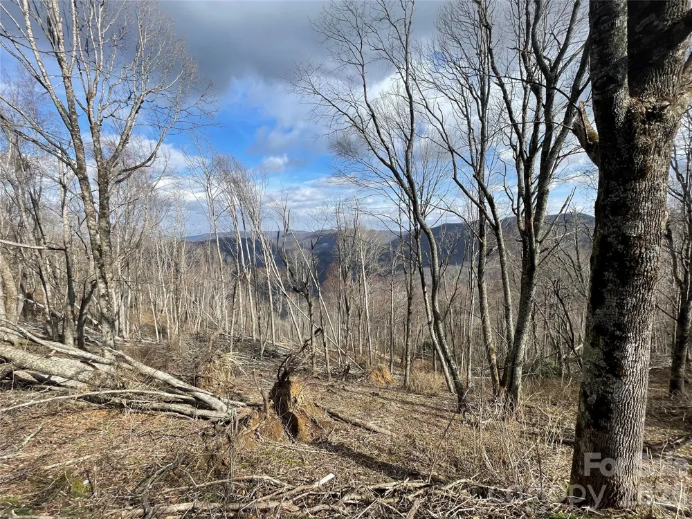 Lot #39 Ridge Top Circle Clyde, NC 28721