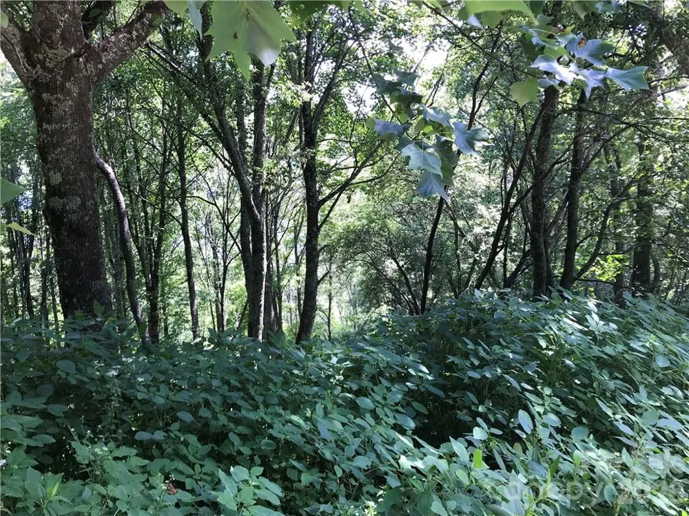Lot #39 Ridge Top Circle Clyde, NC 28721