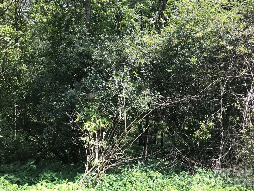 Lot #39 Ridge Top Circle Clyde, NC 28721