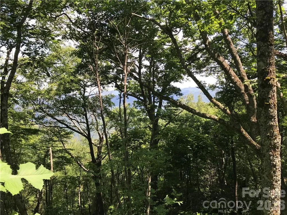Lot #39 Ridge Top Circle Clyde, NC 28721