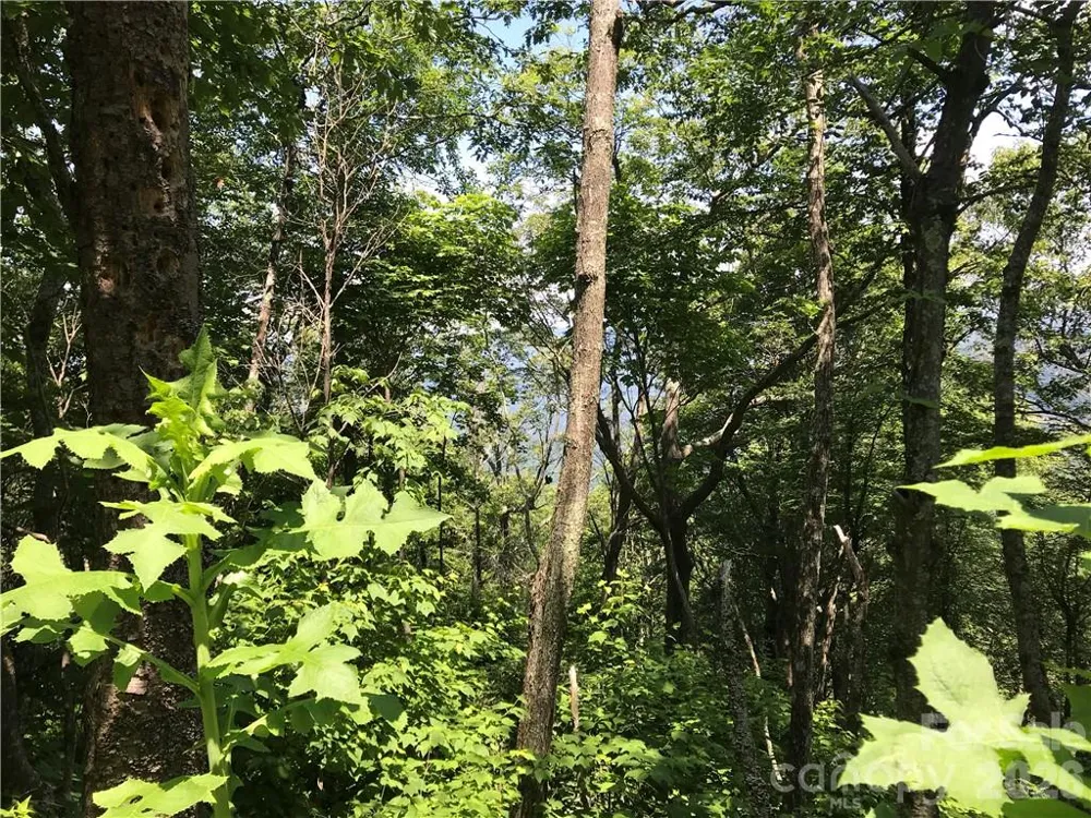 Lot #39 Ridge Top Circle Clyde, NC 28721