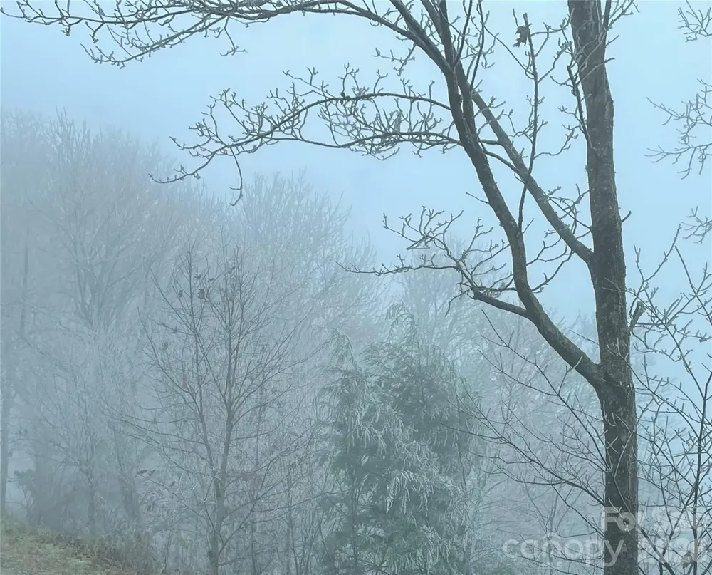 Lot #39 Ridge Top Circle Clyde, NC 28721