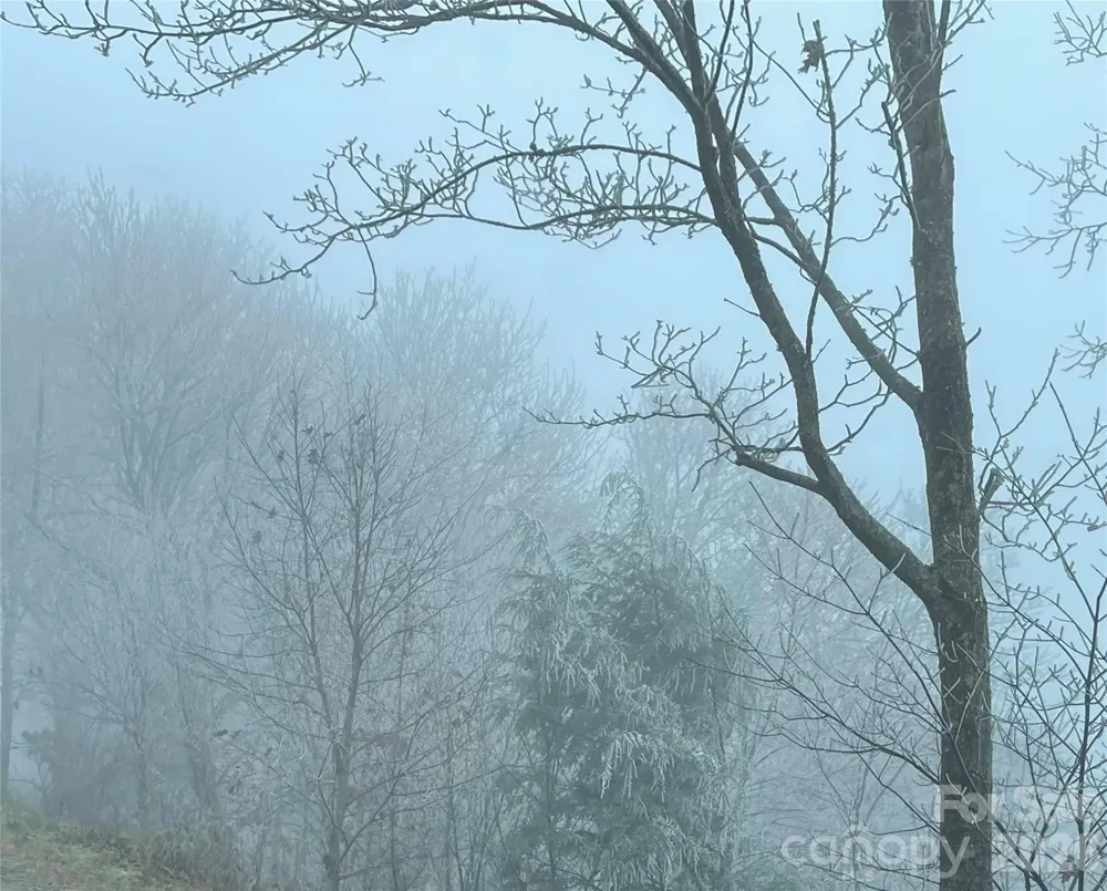 Lot #39 Ridge Top Circle Clyde, NC 28721