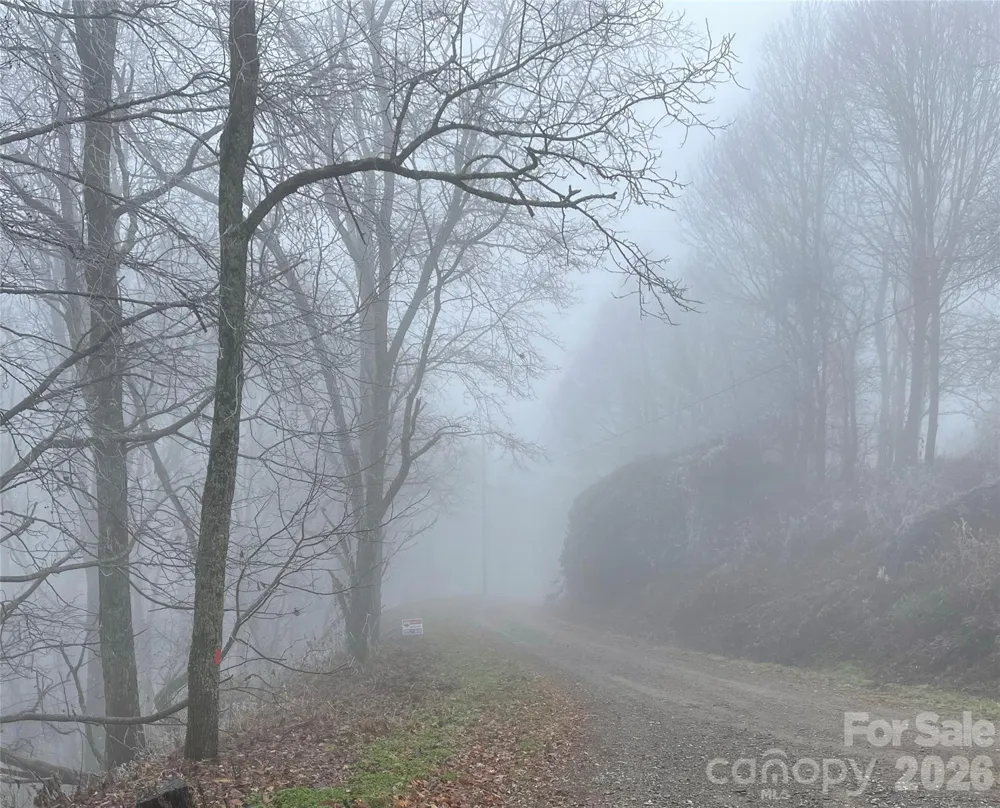 Lot #39 Ridge Top Circle Clyde, NC 28721