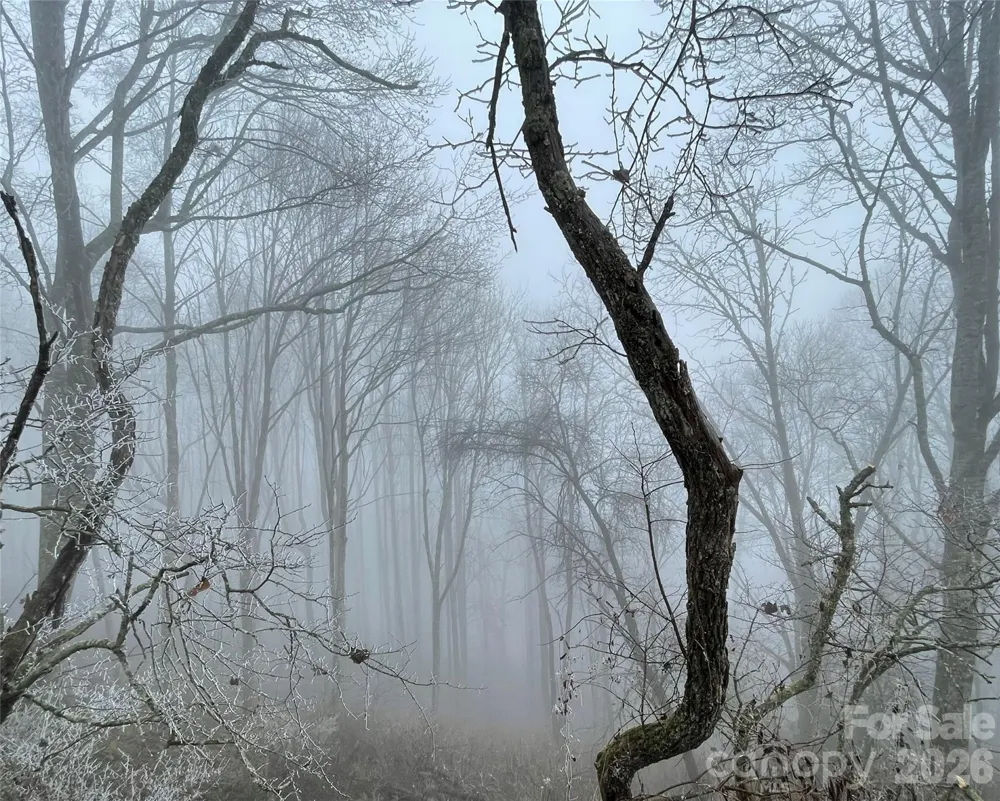 Lot #39 Ridge Top Circle Clyde, NC 28721