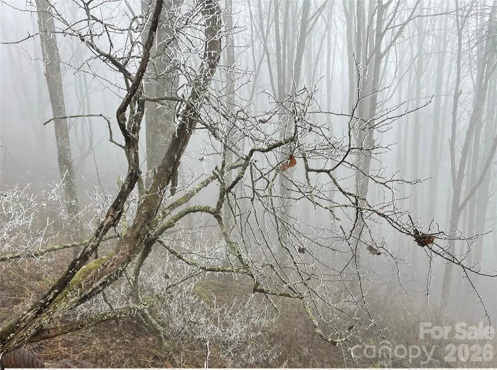 Lot #39 Ridge Top Circle Clyde, NC 28721