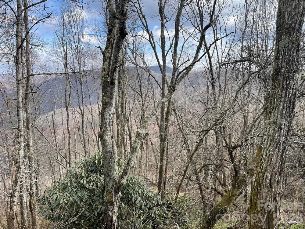 Lot #39 Ridge Top Circle Clyde, NC 28721