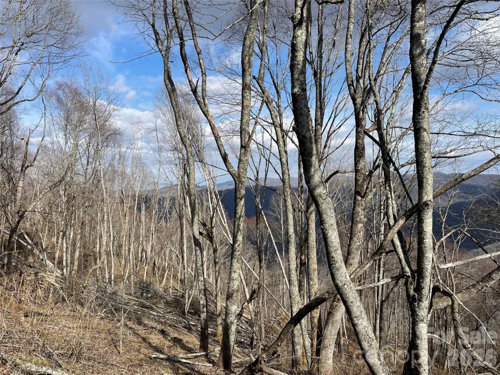 Lot #39 Ridge Top Circle Clyde, NC 28721