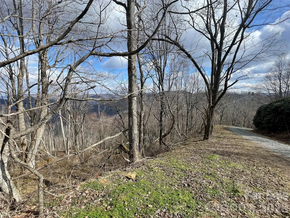 Lot #39 Ridge Top Circle Clyde, NC 28721