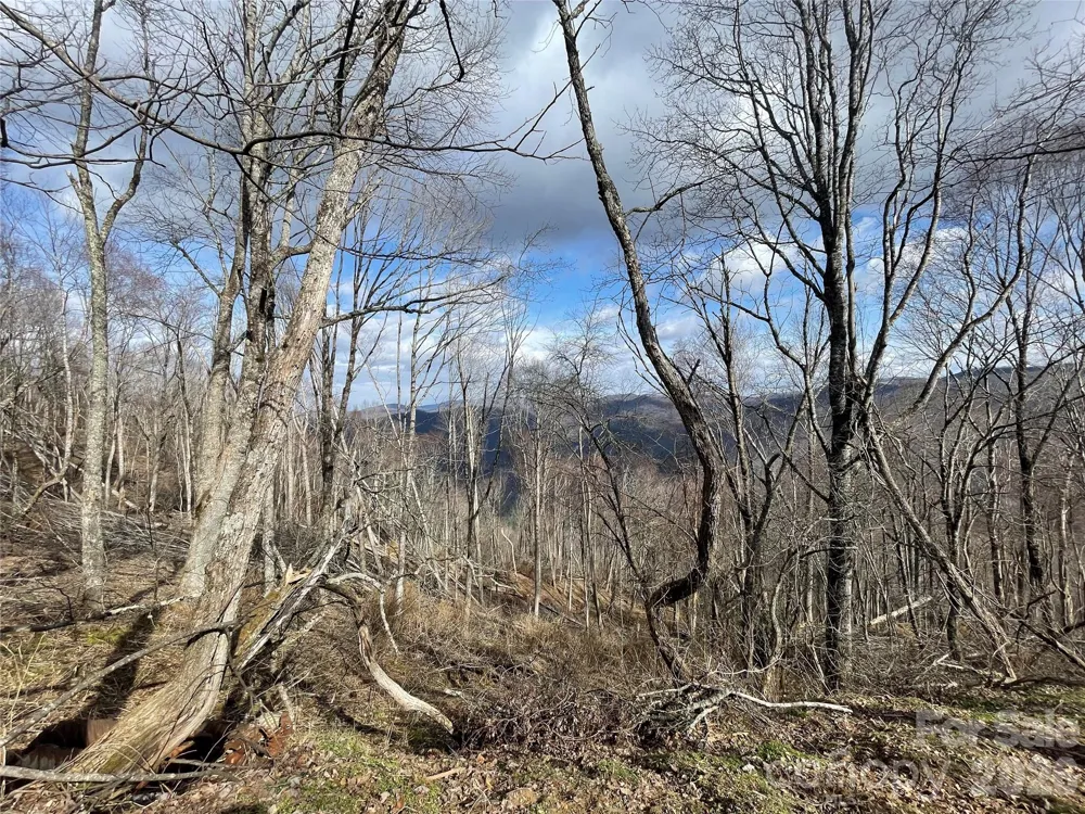 Lot #39 Ridge Top Circle Clyde, NC 28721