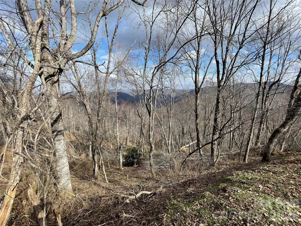Lot #39 Ridge Top Circle Clyde, NC 28721
