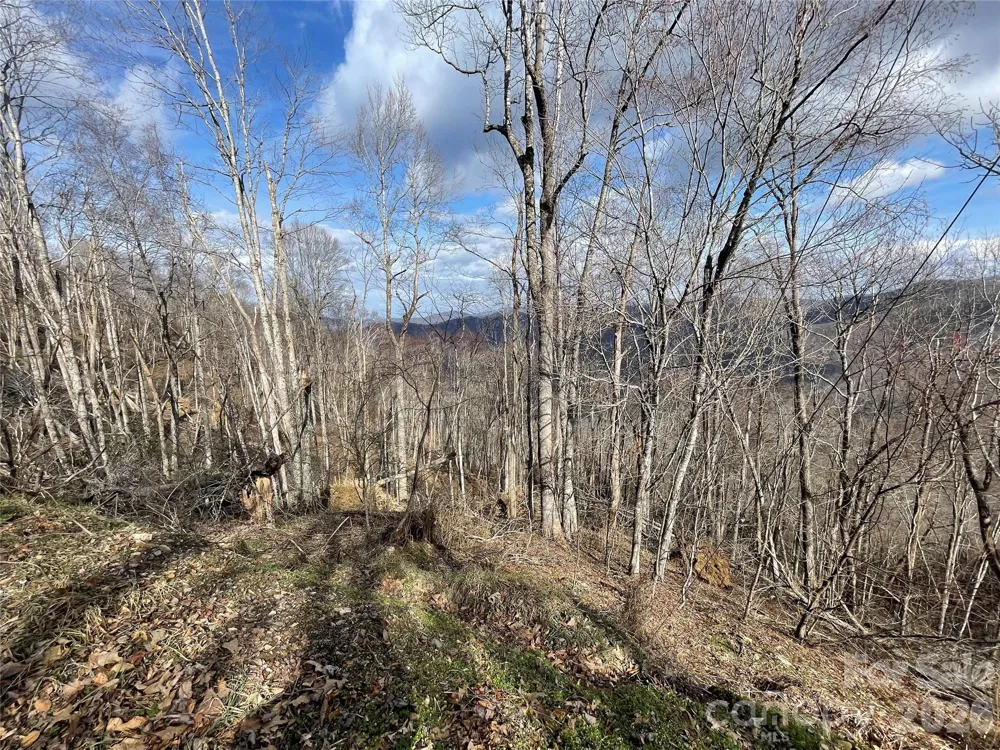 Lot #39 Ridge Top Circle Clyde, NC 28721