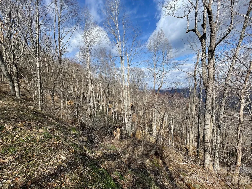 Lot #39 Ridge Top Circle Clyde, NC 28721