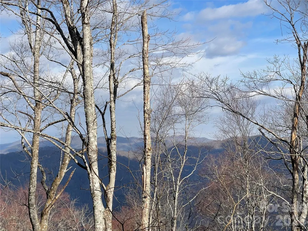 Lot #39 Ridge Top Circle Clyde, NC 28721